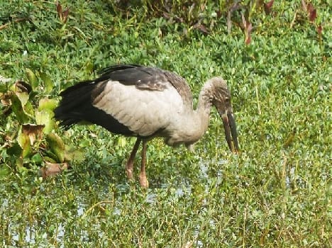 Shekha Lake